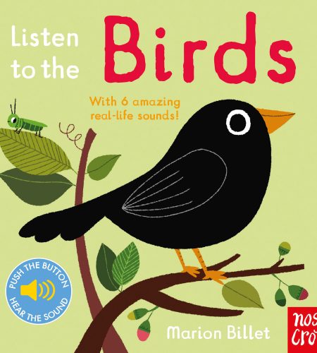 Çocuklar için Doğa Kitapları – Listen to the Birds</a> by <a href="https://www.iskiliga.com/?book-author=nosy-crow">Nosy Crow</a>