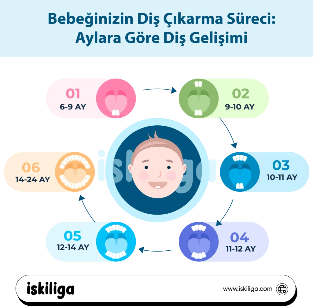 bebeklerde diş çıkarma evreleri